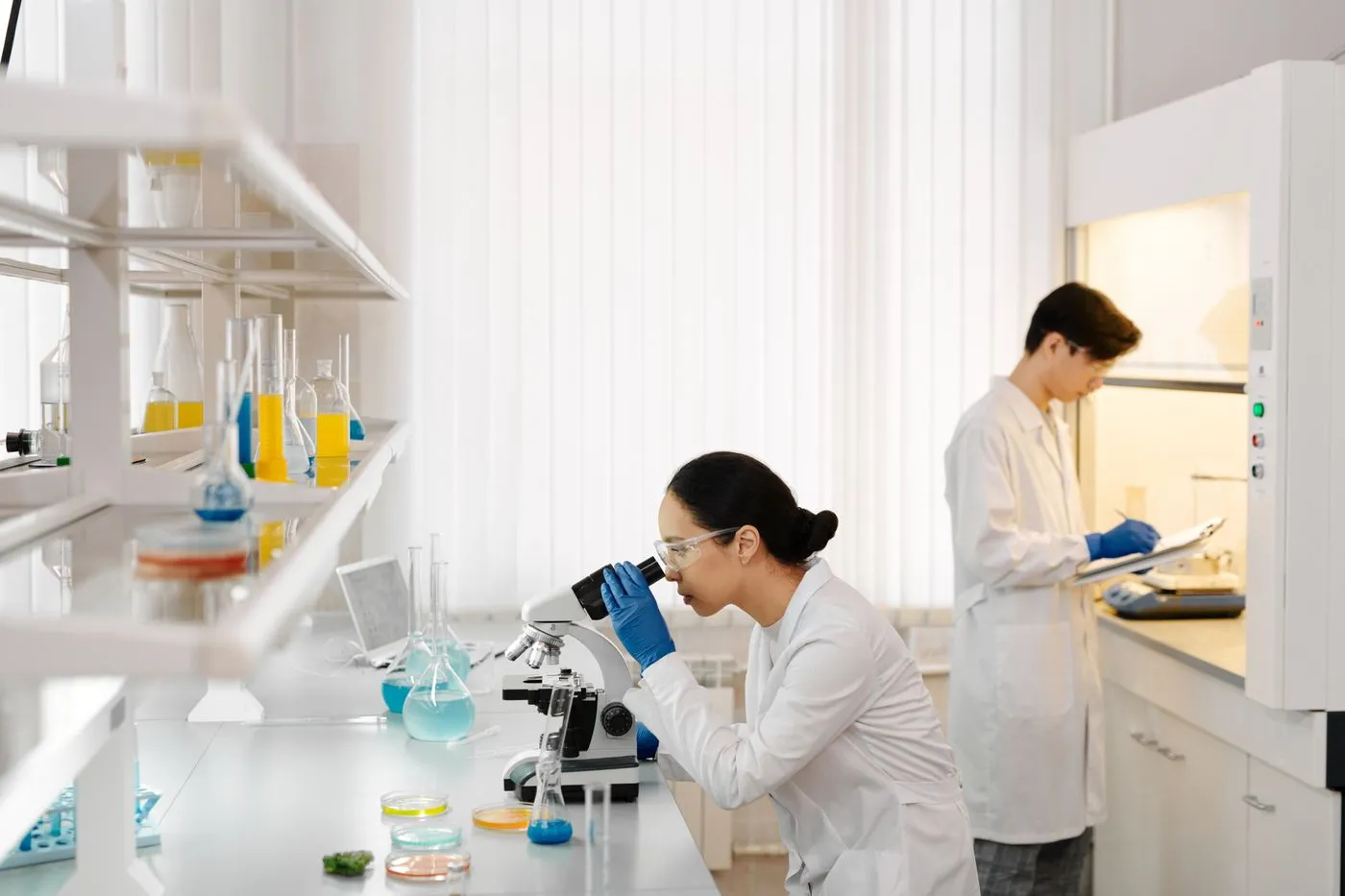 Scientists working together in a laboratory